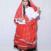 Haryanvi Lehenga With Chunni (Assorted Colour)