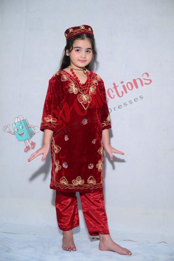 Kashmiri Girl Costume