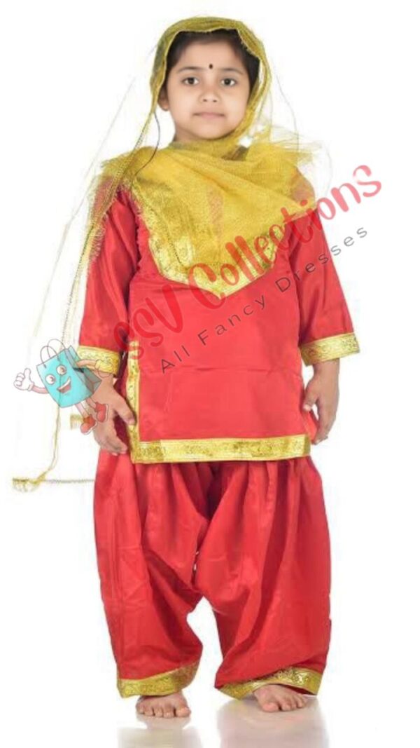 Punjabi Girl Costume With Dupatta (Assorted Colours)