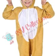 Lion Dress For Kids
