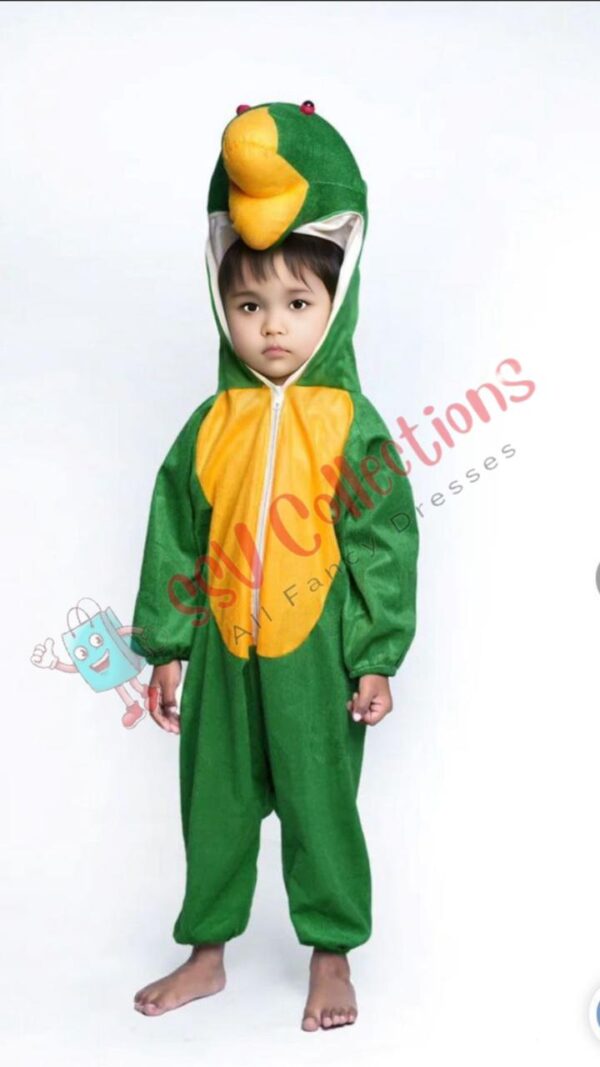Frog Dress For Kids