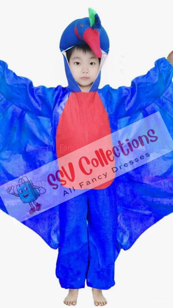 Peacock Dress For Kids